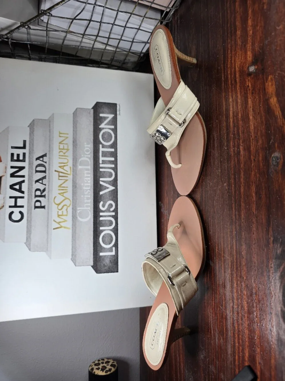 Coach features cream